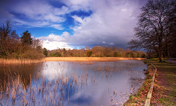 Emo Lake, Co. Laois