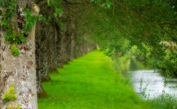 Owenass River Walk, Co. Laois.