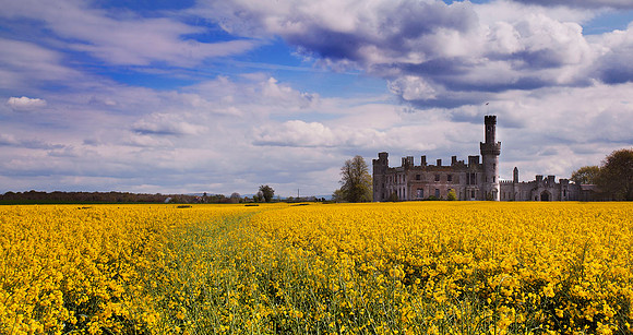 Ducketts Grove, Co. Carlow