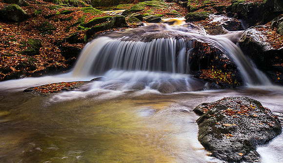 Clodagh River, Co. Wicklow